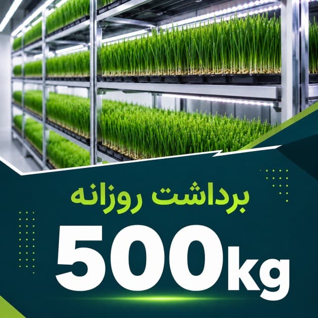 پکیج برداشت حدودی 5000 کیلوگرم روزانه علوفه هیدروپونیک — تصویر ۵