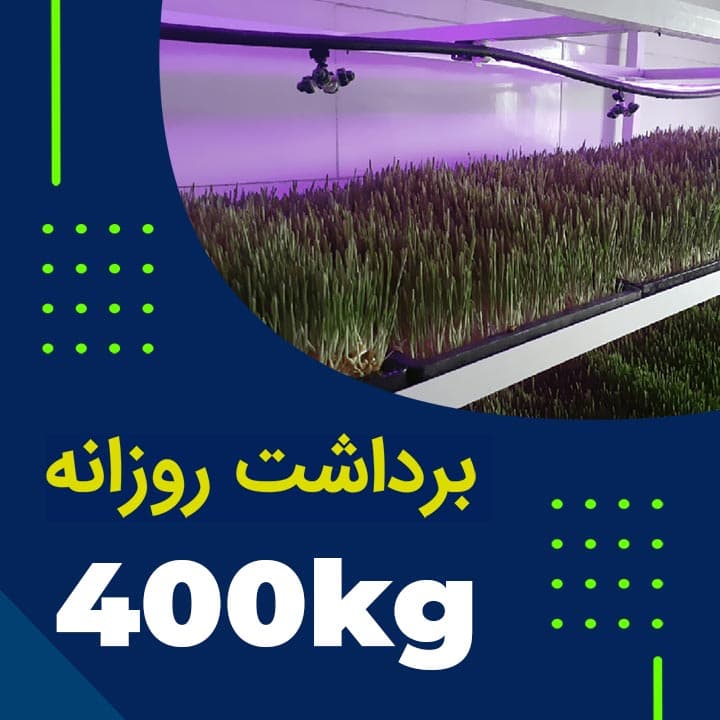 پکیج برداشت حدودی 400 کیلوگرم روزانه علوفه هیدروپونیک