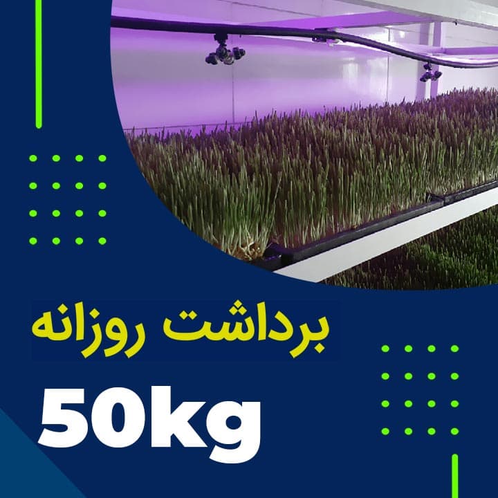 پکیج برداشت حدودی 50 کیلوگرم روزانه علوفه هیدروپونیک
