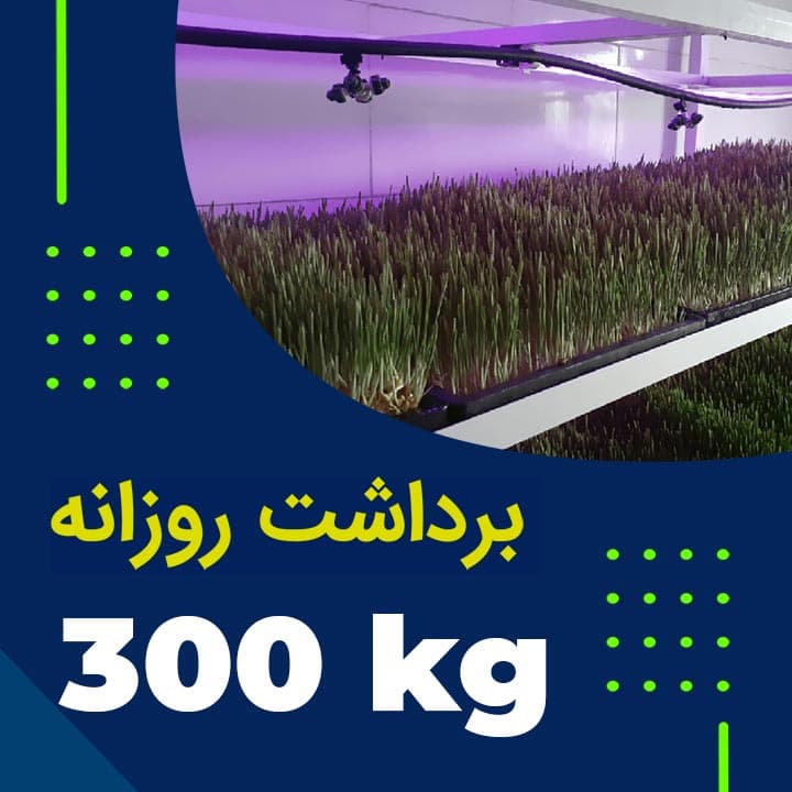 پکیج برداشت حدودی 300کیلوگرم روزانه علوفه هیدروپونیک — تصویر ۳