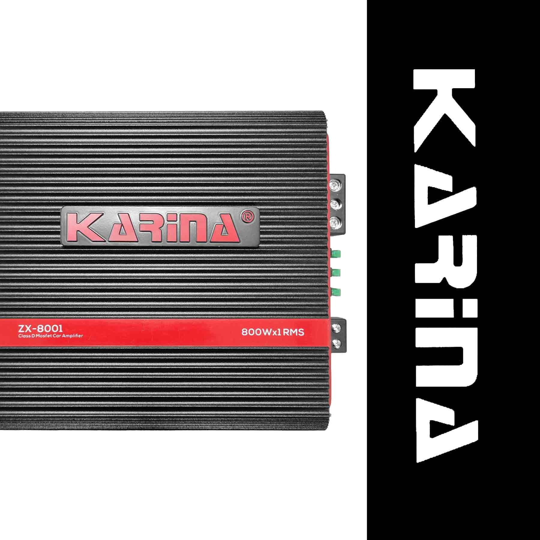 آمپلی فایر مونو کارینا مدل ZX-8001