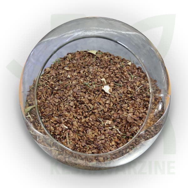 بذر درخت سرو شیراز( حداقل سفارش 1KG میباشد )