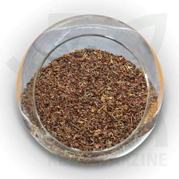 بذر درخت سرو نقره ای(حداقل سفارش 1Kg)