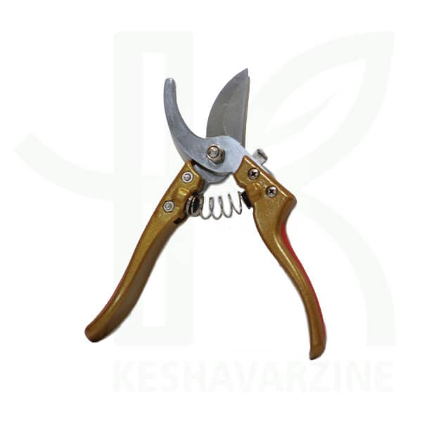 قیچی باغبانی سادا ژاپن