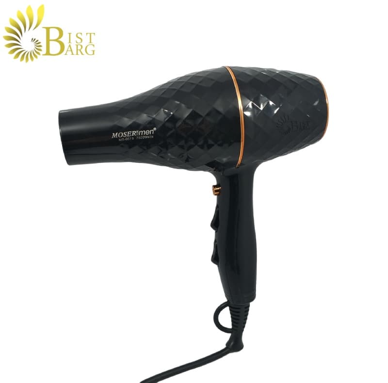 سشوار موزر مدل MOSER MS-6619 — تصویر ۲