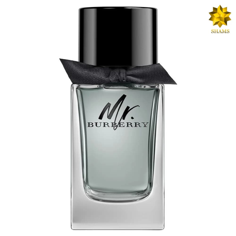 Burberry Mr. Burberry Edt 100ml — تصویر ۲