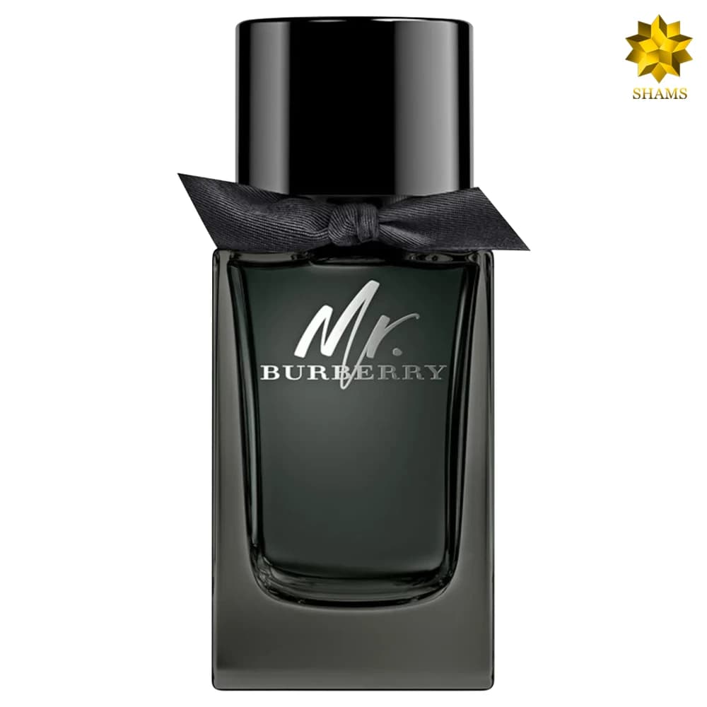 Burberry Mr. Burberry Edp 100ml