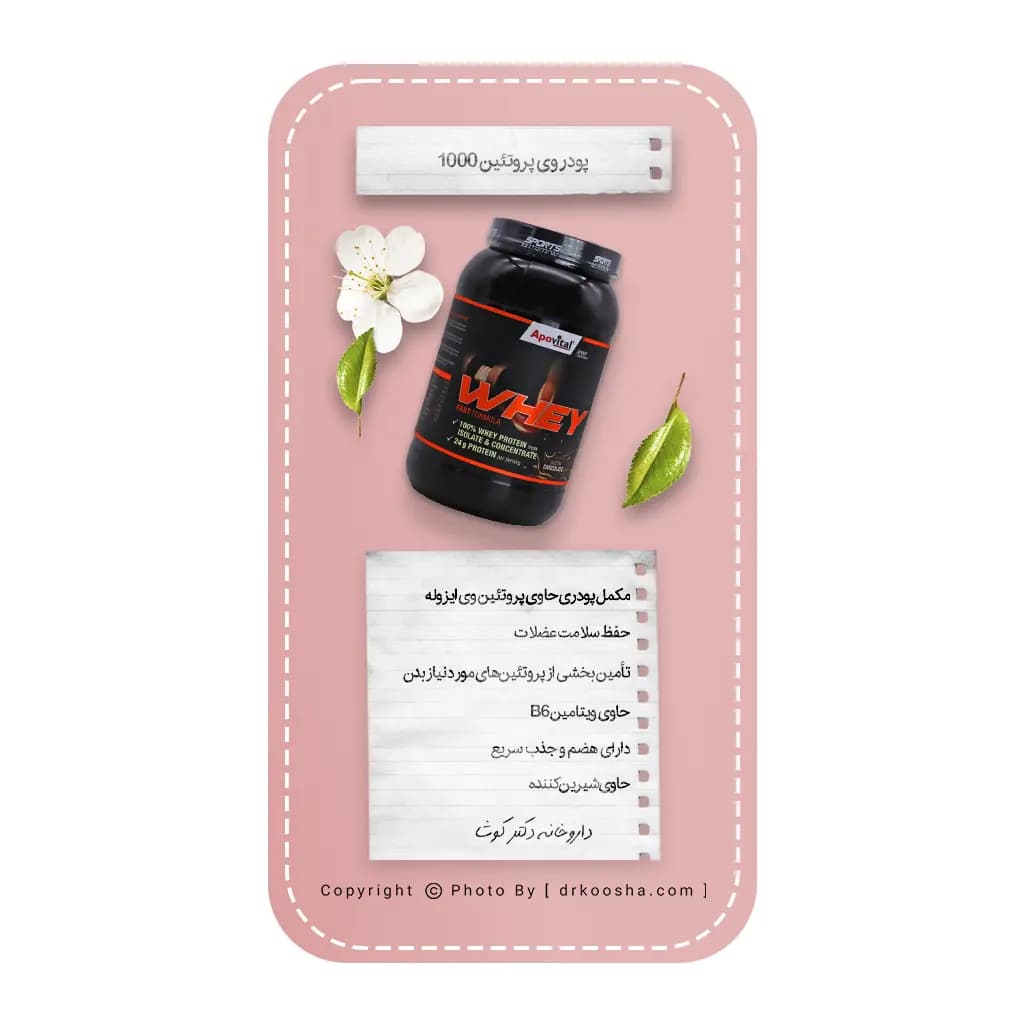 پودر وی پروتئین آپوویتال 1000 گرم — تصویر ۶