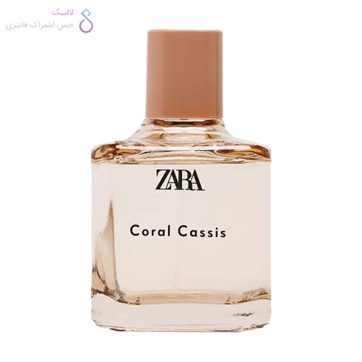 عطر ادکلن زارا کورال کاسیس | Zara Coral Cassis — تصویر ۴