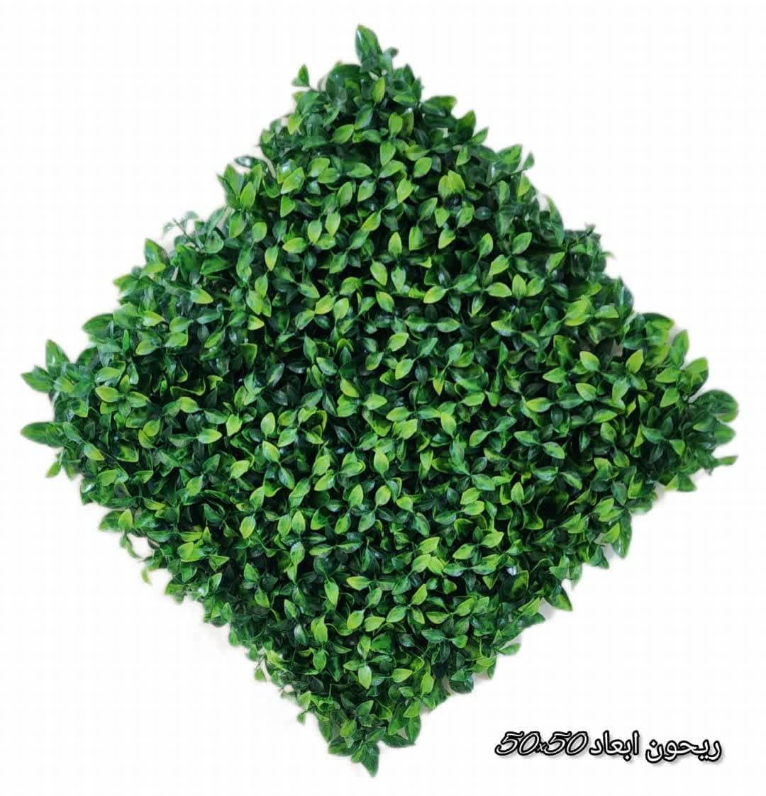 گرین وال مدل ریحون — تصویر ۵