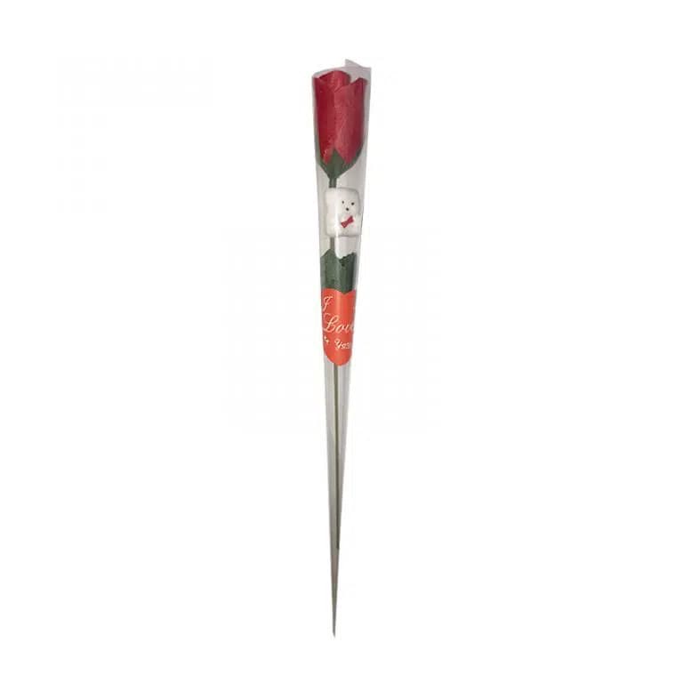شاخه گل طلقی بزرگ