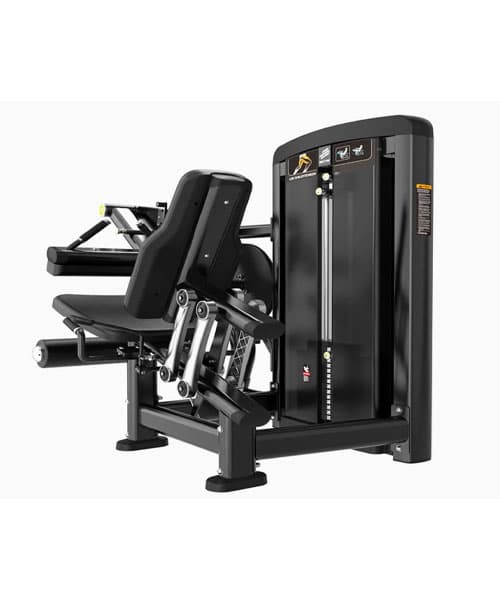 دستگاه جلو پا پشت پا LIFE FITNESS مدل BH33 — تصویر ۹