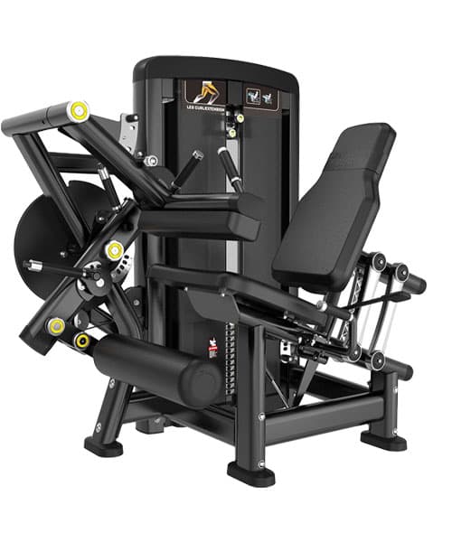 دستگاه جلو پا پشت پا LIFE FITNESS مدل BH33