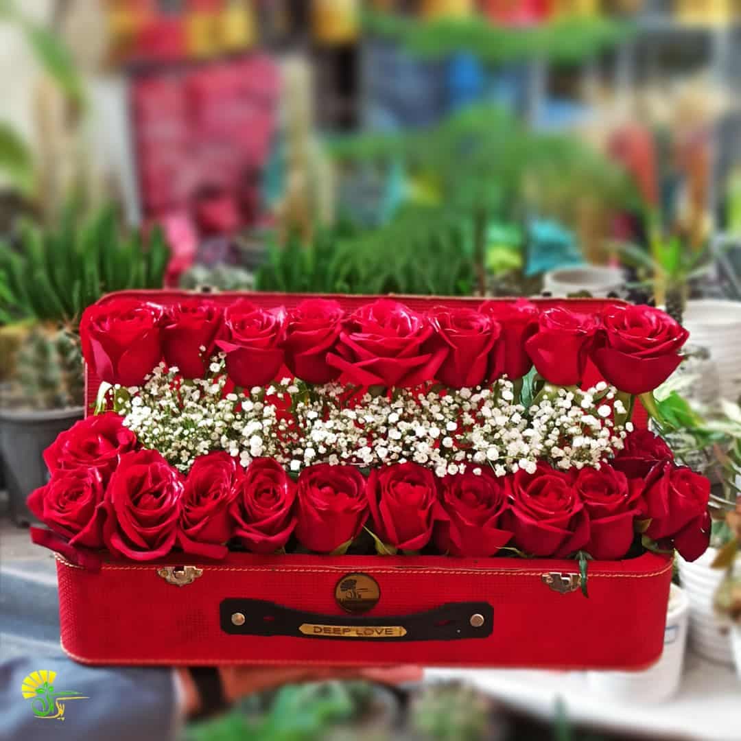 باکس گل کاملیا