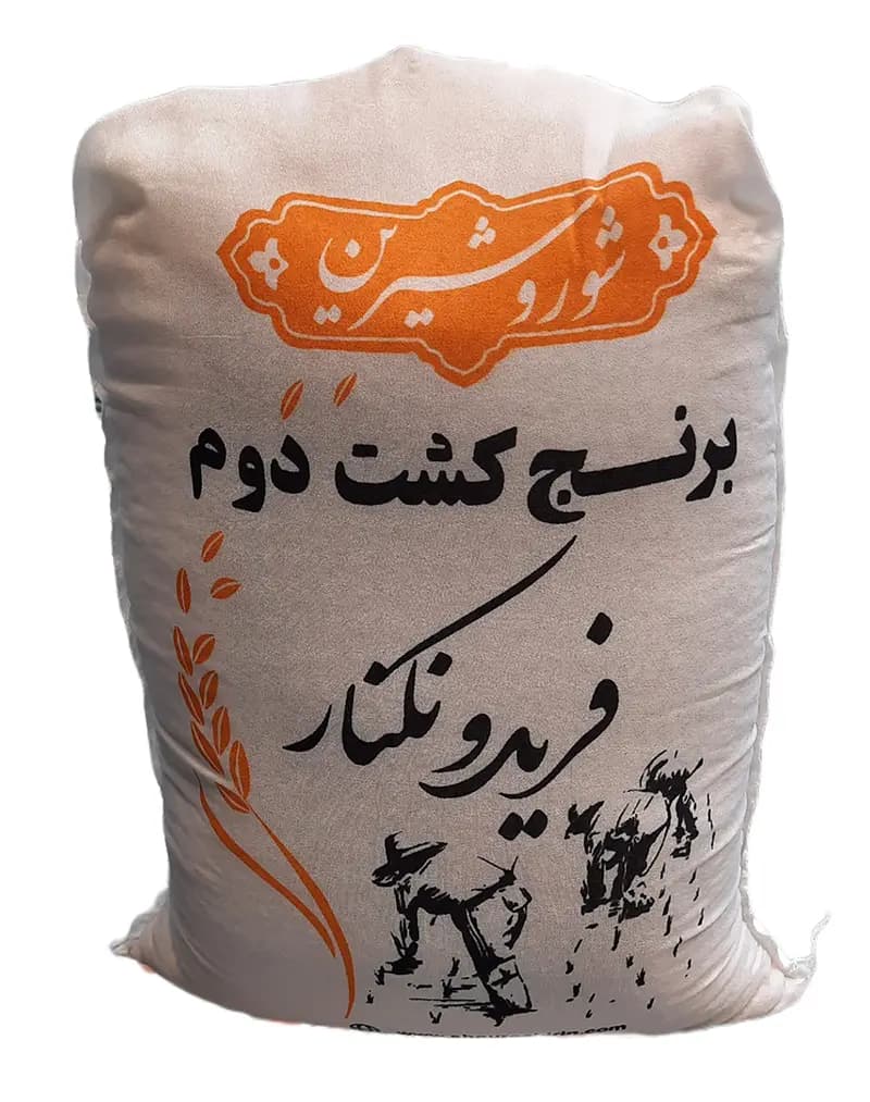 برنج کشت دوم فریدونکنار — تصویر ۳