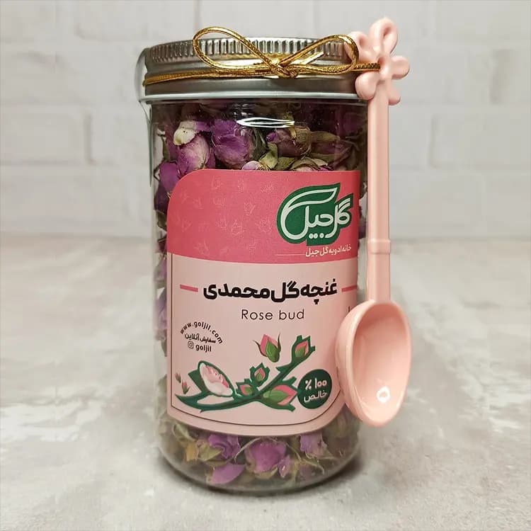 غنچه گل محمدی گل‌جیل — تصویر ۶