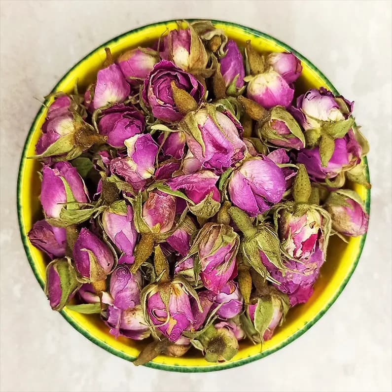 غنچه گل محمدی گل‌جیل — تصویر ۵