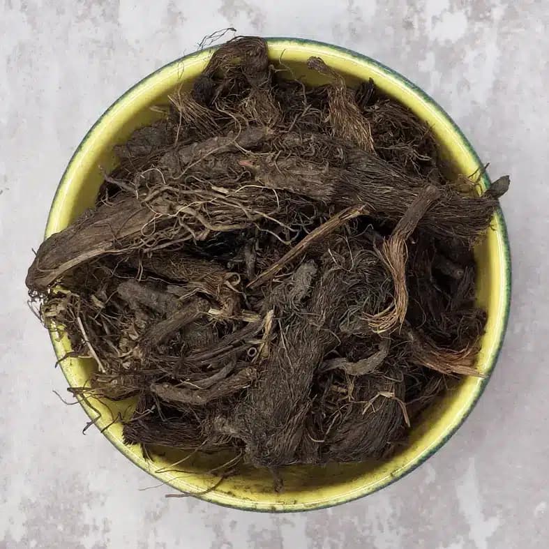 سنبل الطیب گل‌جیل — تصویر ۸