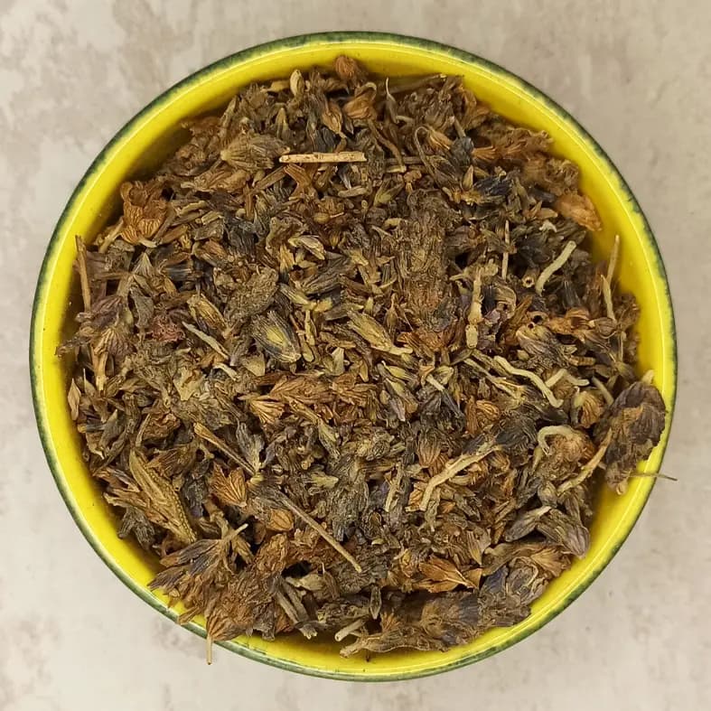اسطوخودوس گل‌جیل — تصویر ۳