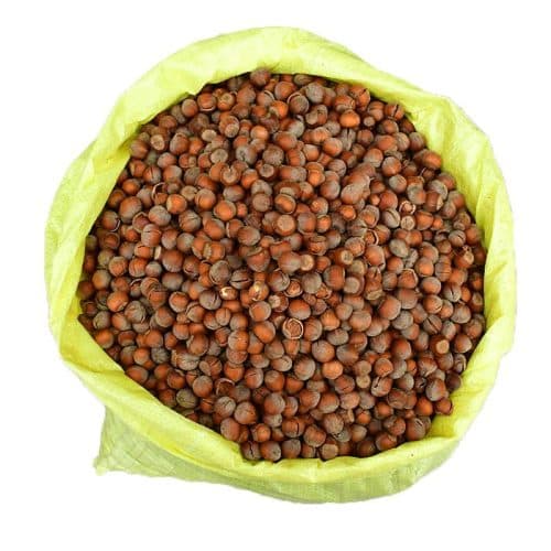 فندق خام بسته 10 کیلویی