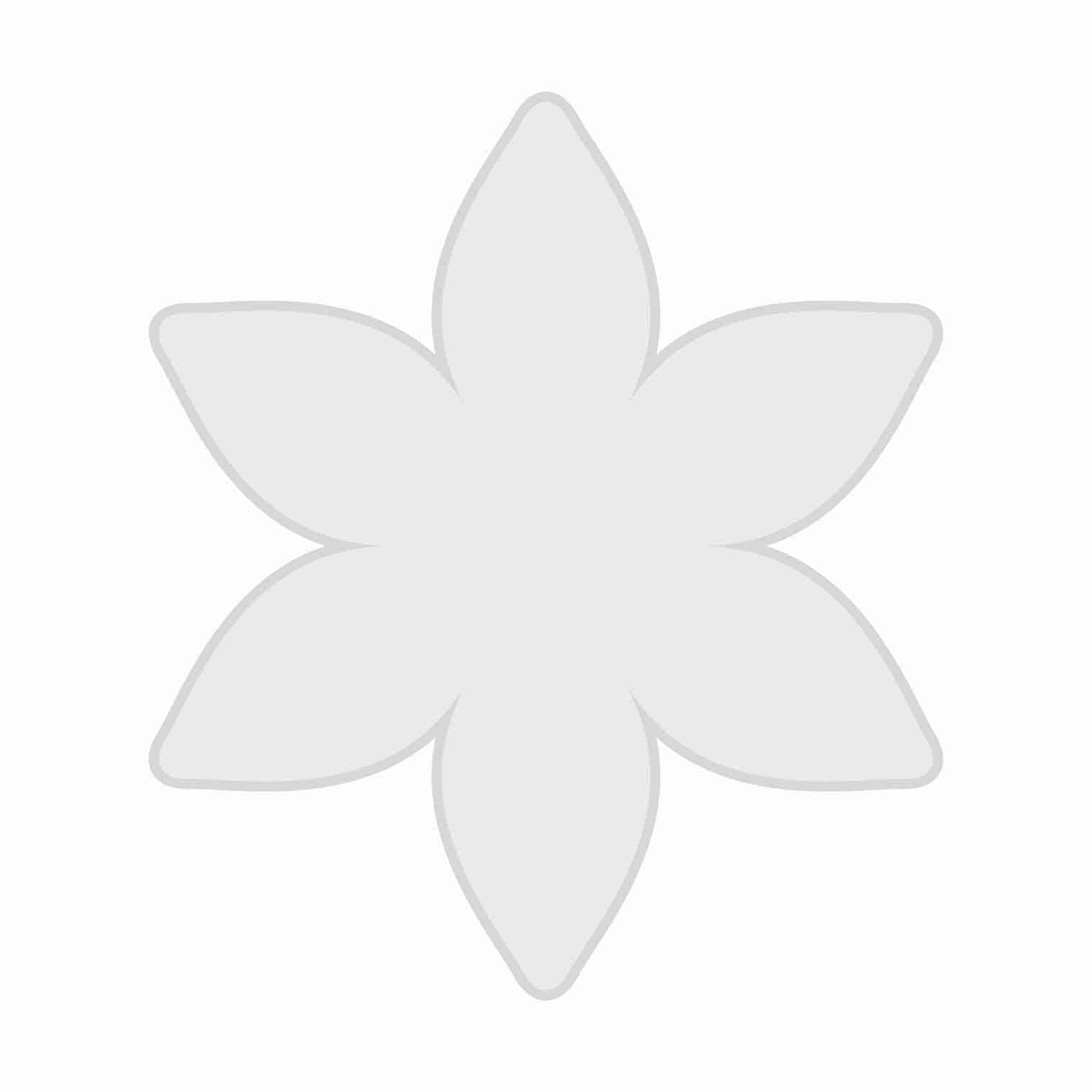 قالب گل ۶ پر