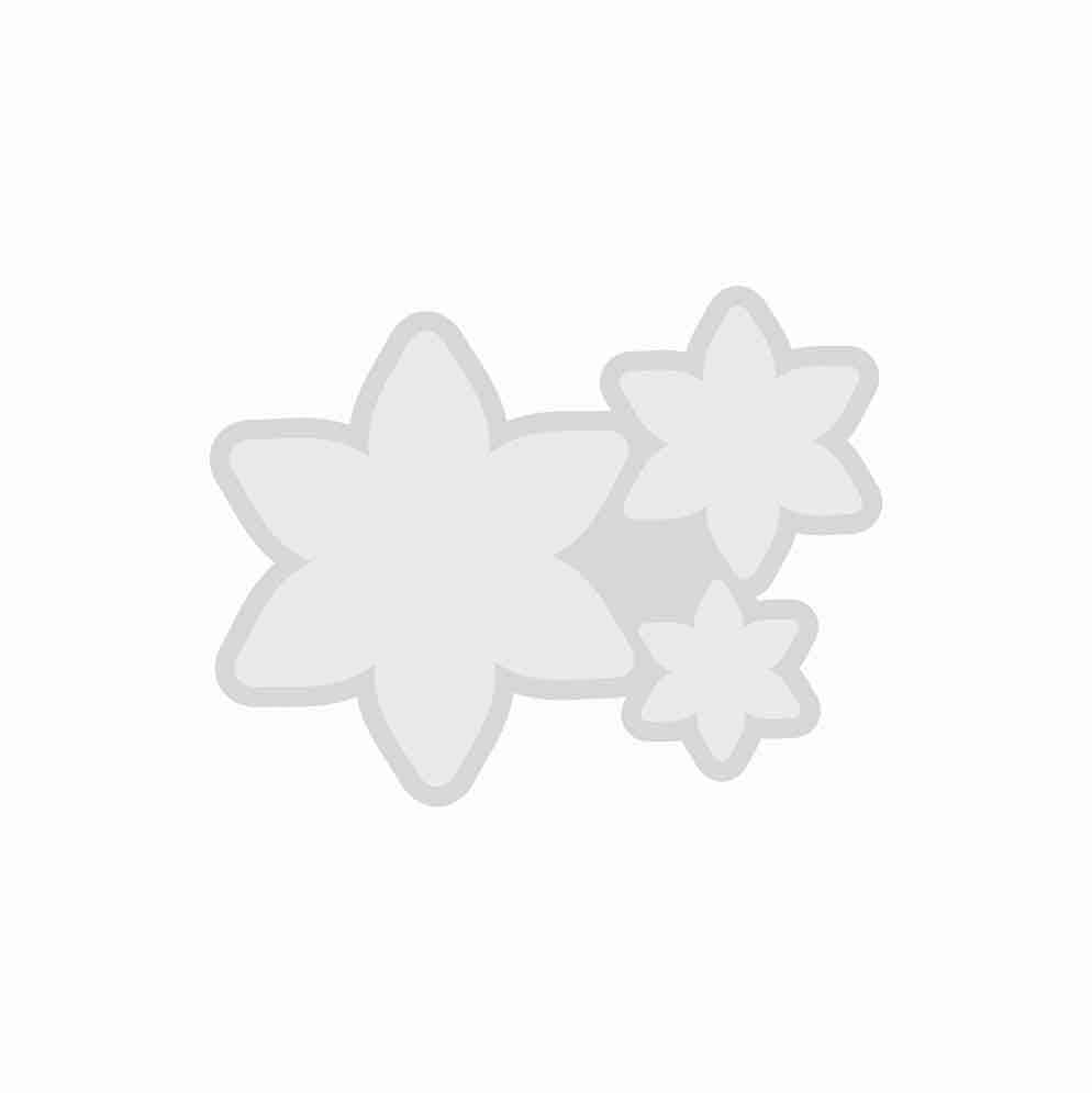 قالب گیفت سه قلو کد 08 — تصویر ۴