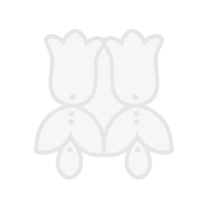 قالب گوشواره لاله