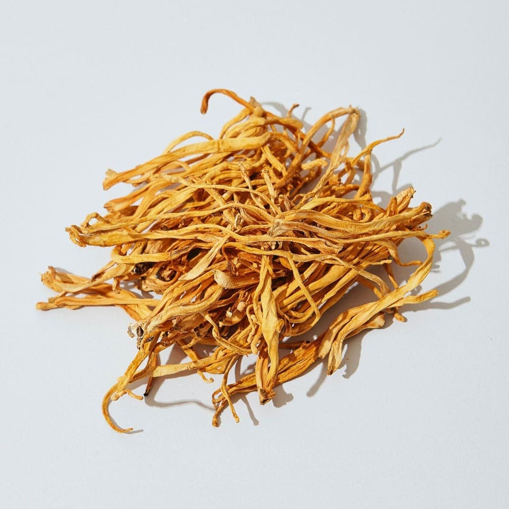 قارچ کوردیسپس