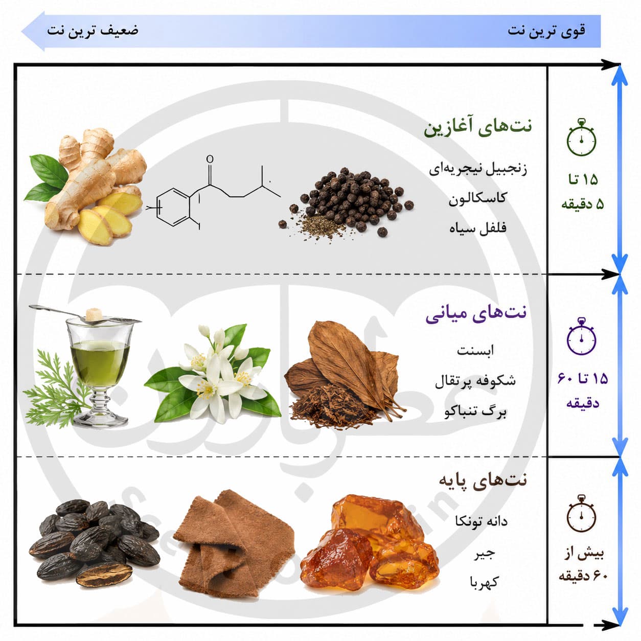 ادوتویلت مردانه پلیس ریچ گای حجم 100 میلی‌لیتر — تصویر ۴
