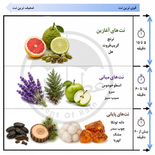 اسپری مردانه عمادآرا لجند ابسولو حجم 200 میلی‌لیتر — تصویر ۹