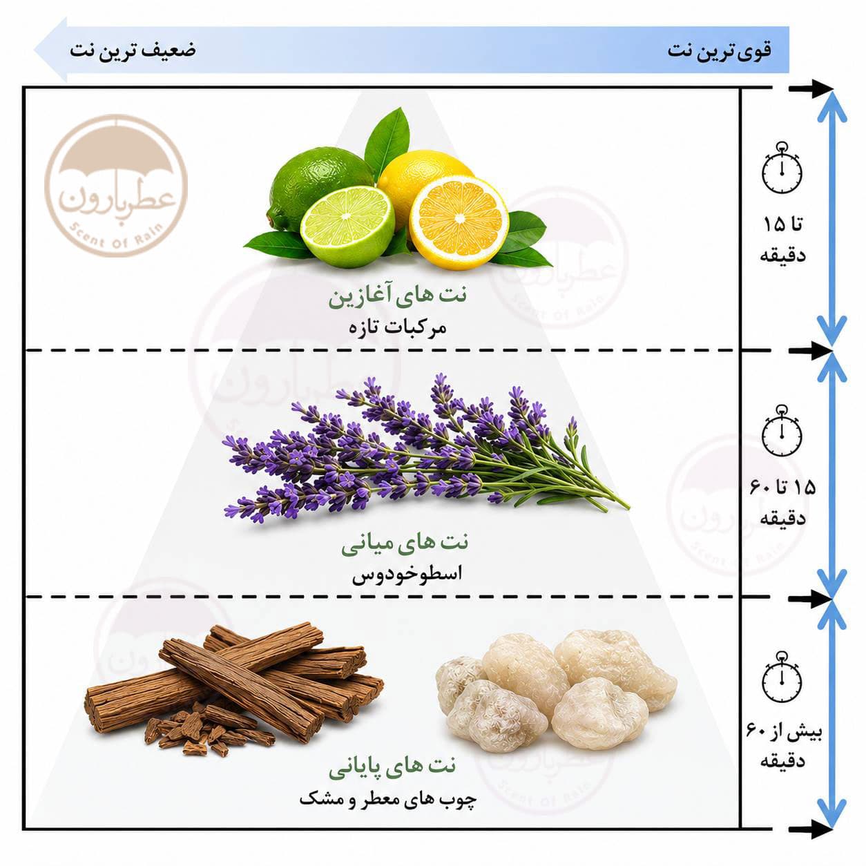 اسپری مردانه عمادآرا اینویکتا جنسیس حجم 200 میلی‌لیتر — تصویر ۹