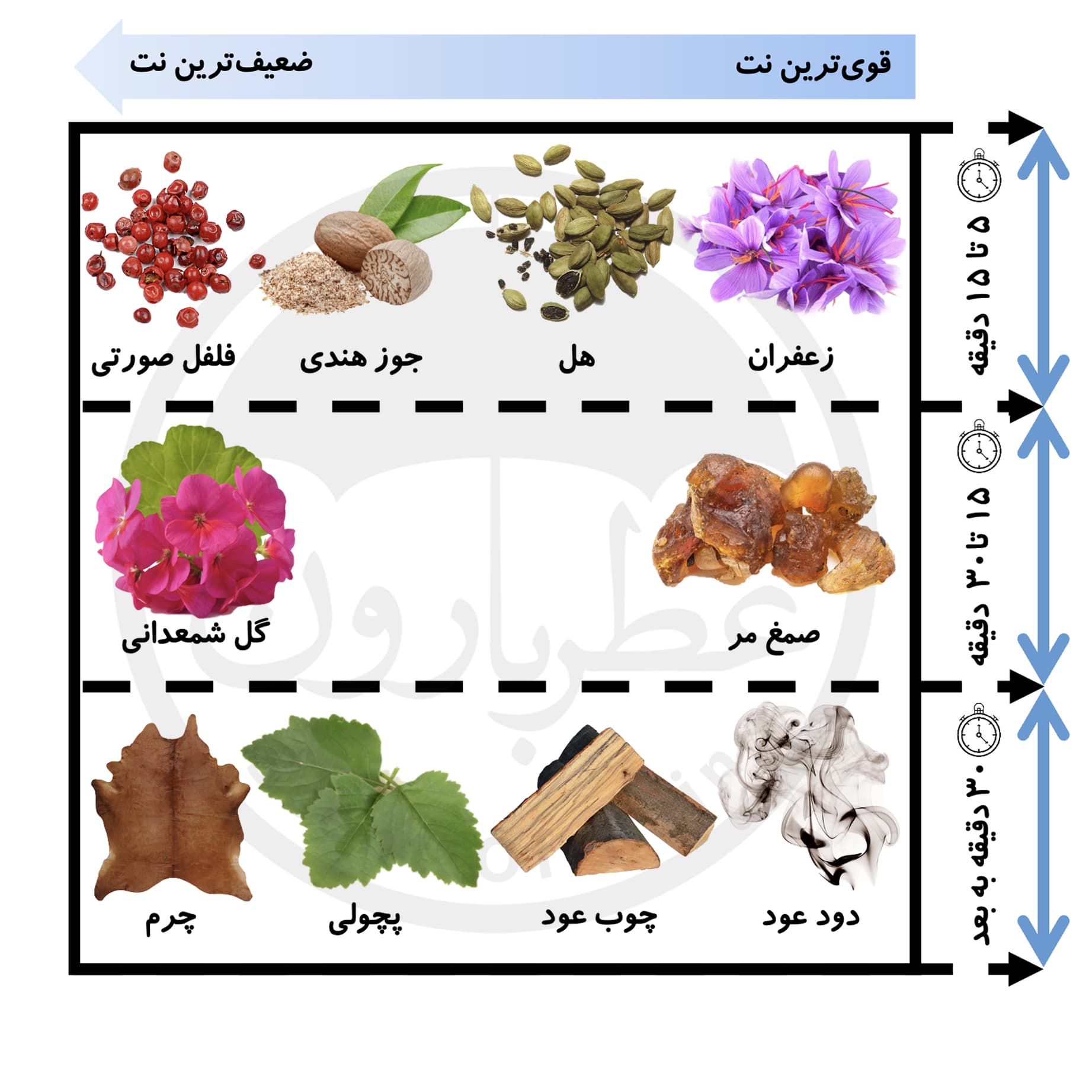 شاور‌کرم مردانه بورلی هیلز پولو کلاب اسپرت شماره 2 حجم 150 میلی‌لیتر — تصویر ۳