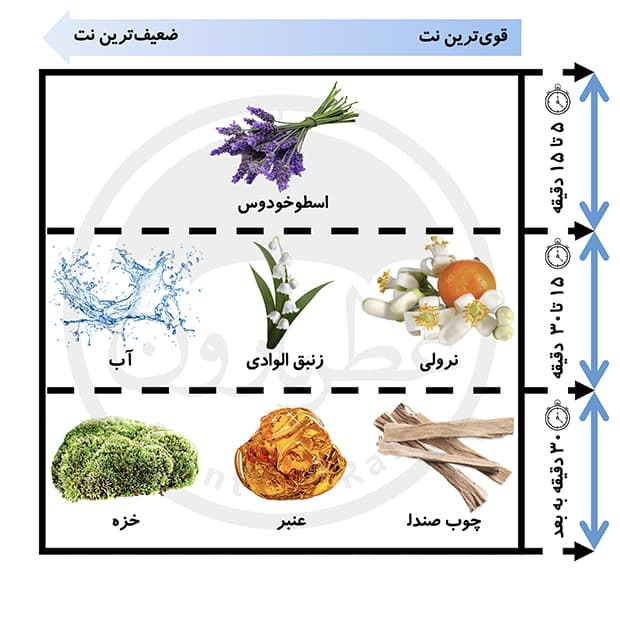 تستر ادوپرفیوم زنانه بورلی هیلز پولو کلاب اسپرت شماره 2 حجم 100میلی‌لیتر — تصویر ۱۱