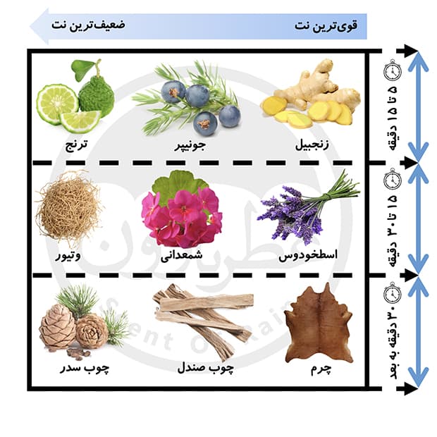 تستر ادوپرفیوم مردانه موبوسین پور لویی این رد حجم 100میلی‌لیتر — تصویر ۳