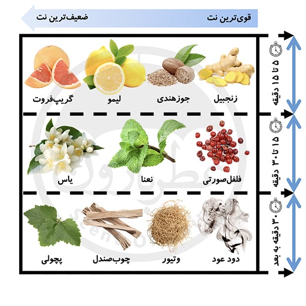 تستر ادوپرفیوم مردانه بورلی هیلز پولو کلاب تایتان حجم ۱۰۰میلی‌لیتر — تصویر ۳
