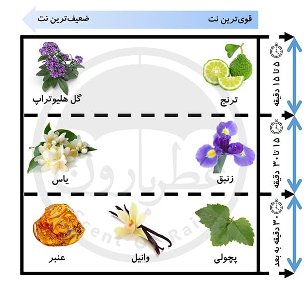 ادوپرفیوم زنانه عمادآرا مموریز ایفل حجم 30 میلی‌لیتر — تصویر ۷