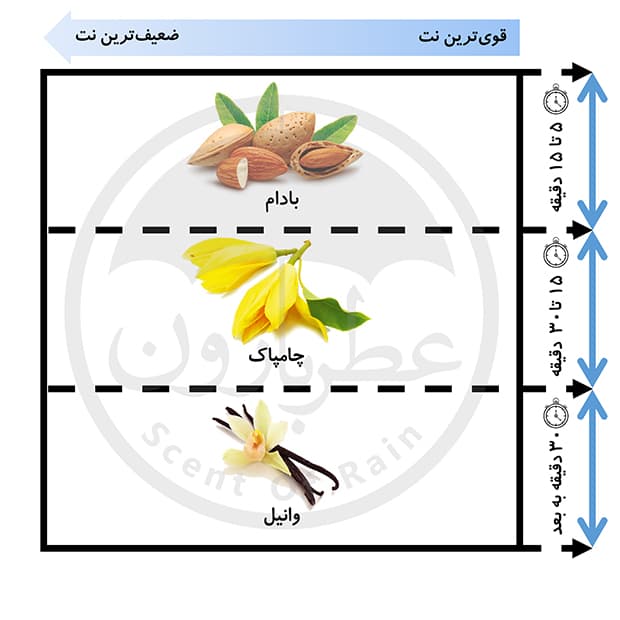 تستر ادوپرفیوم زنانه گرنویل توایلایت حجم 100 میلیلیتر — تصویر ۹