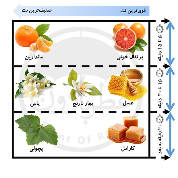 تستر ادوپرفیوم زنانه الیزه فشن دیپ سنس ولور حجم 100 میلی‌لیتر — تصویر ۳