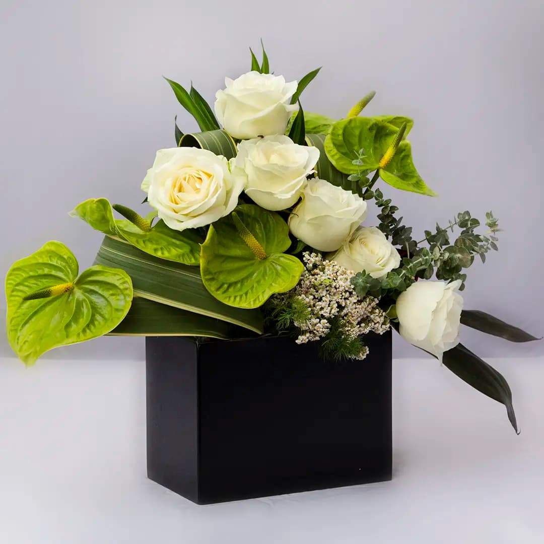 باکس گل رز سفید 23560| باختر — تصویر ۳