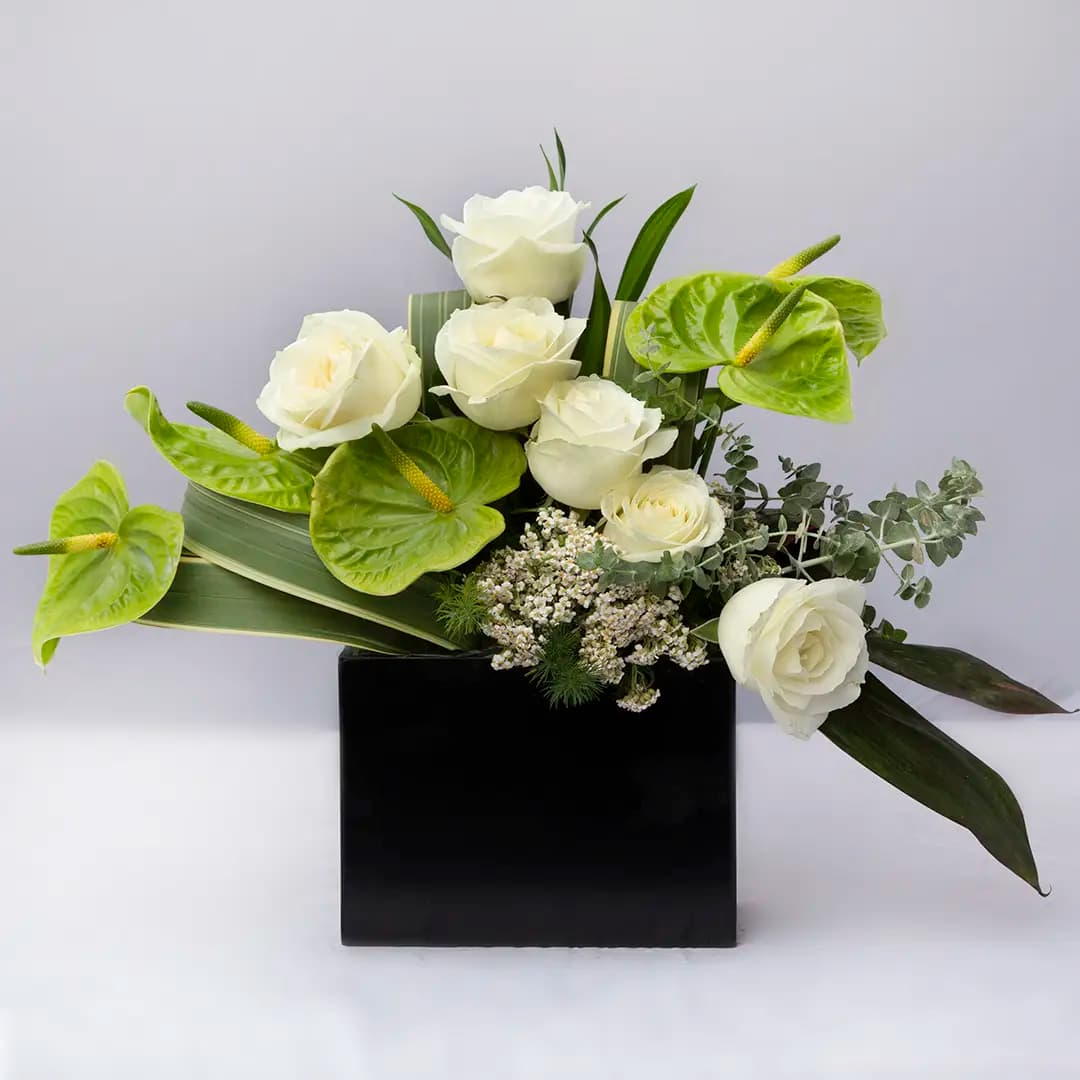 باکس گل رز سفید 23560| باختر