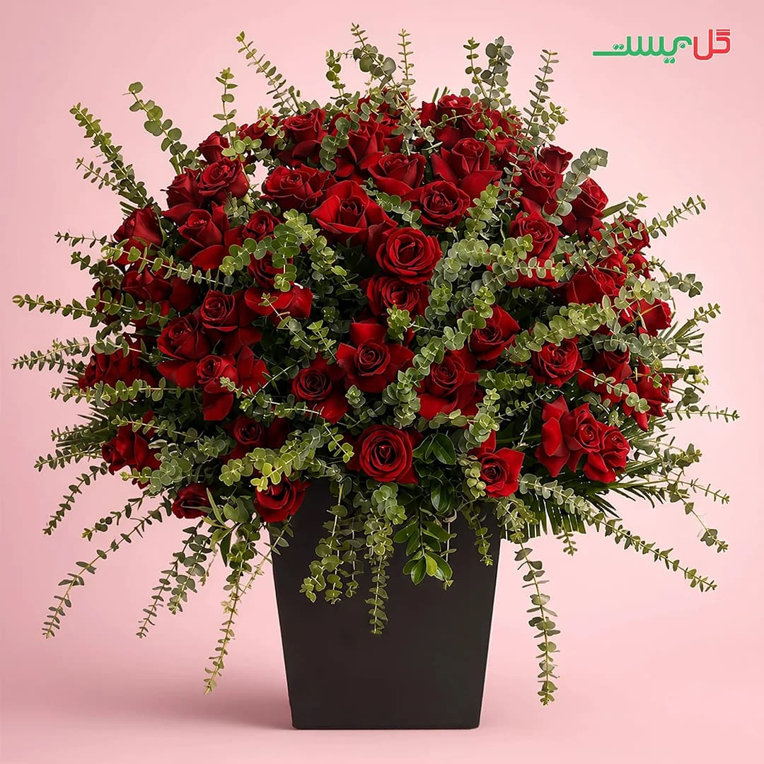باکس گل انیس | 70 شاخه رز قرمز مجلل | گلفروشی گل بیست — تصویر ۳
