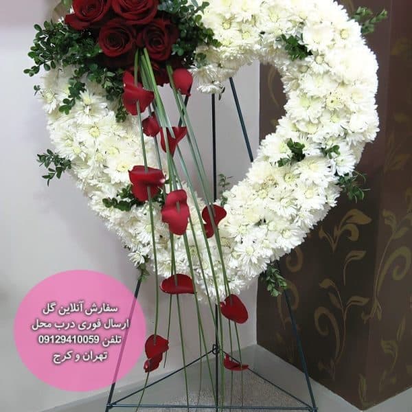 تاج گل داوودی آلا