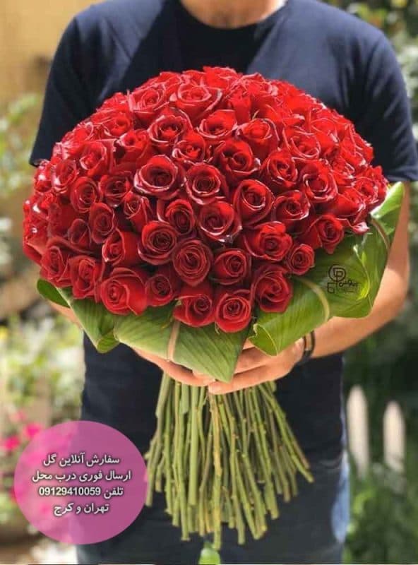 دسته گل 100 شاخه ای رز هلندی ممتاز — تصویر ۳