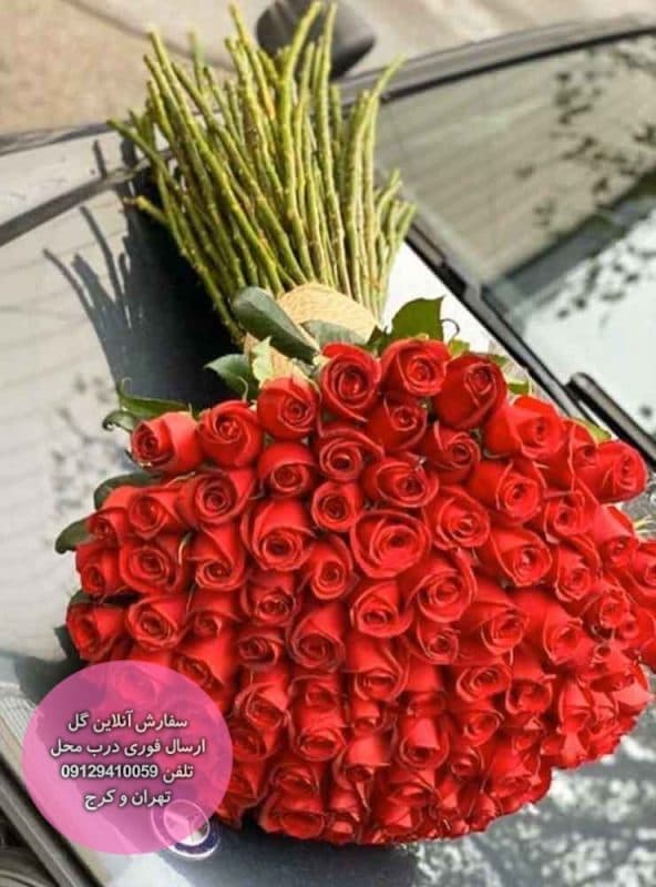 دسته گل 100 شاخه ای رز هلندی ممتاز