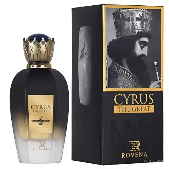 ادوپرفیوم مردانه روونا مدل Cyrus حجم 100 میل کد 204 — تصویر ۷
