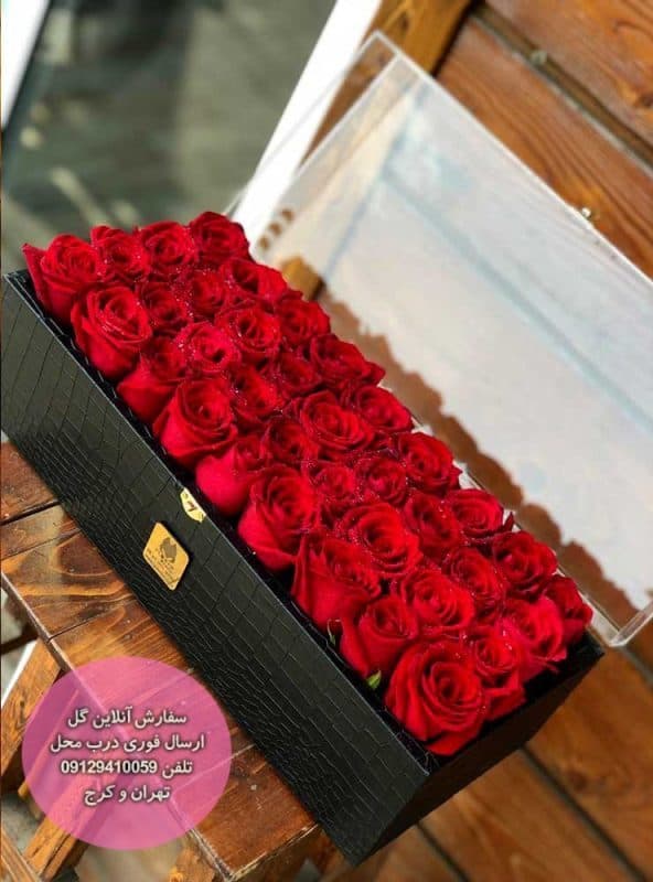 باکس پلکسی با رز هلندی ممتاز