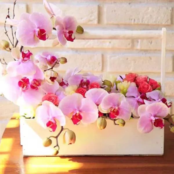 سبد گل ارکیده پاپیلکا – فروشگاه آنلاین گل فلوشا Flowsha