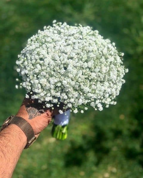 باکس گل آنلاین طرح آلا