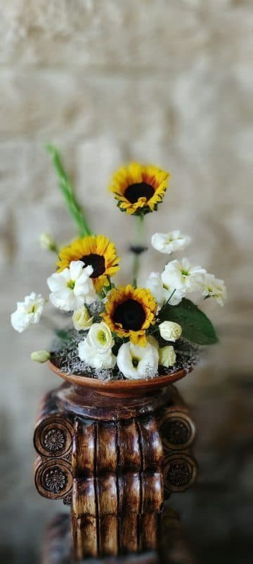 باکس گل رز هلندی کد 113
