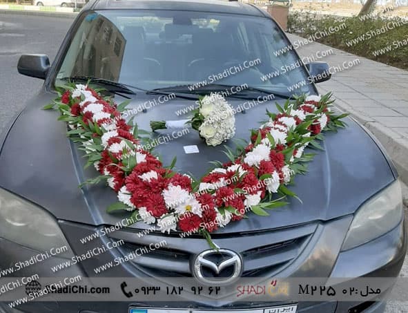 ماشین عروس لاکچری — تصویر ۹